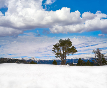 阳光明媚的日子里安道尔比利牛斯山脉的朋友滑雪胜地