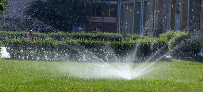 自动喷水灭火系统在草坪上浇绿草的背景照片