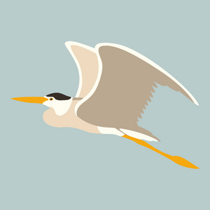 苍鹭是飞行向量例证平样式银鹭(阿尔达阿尔巴)卡通笑脸苍鹭苍鹭飞行