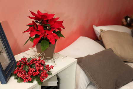 卧室架子上的圣诞花一品红