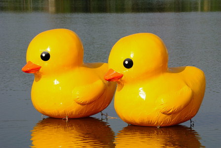 黄小鸭图片