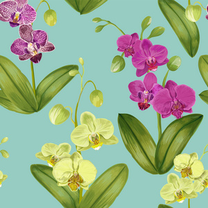 与兰花花的无缝热带图案。花的背景为织品纺织品, 墙纸, 包装。水彩花设计。矢量插图