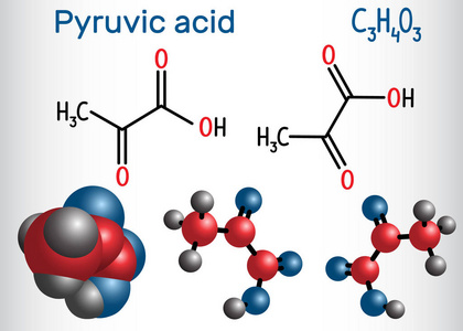 丙酮酸分子。它是最简单的阿尔酮酸。结构化学公式和分子模型。矢量插图