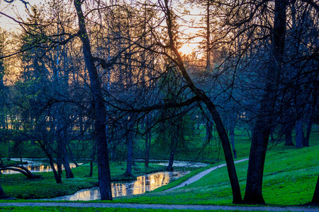 夏天橙色日落在公园 Gatchina