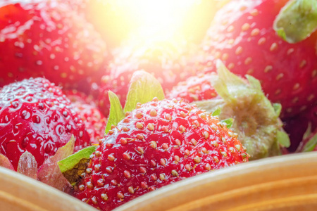 花园红草莓与阳光的眩光。自然, 多汁, 明亮的草莓概念设计。收获草莓