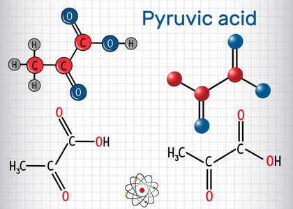 丙酮酸分子。它是最简单的阿尔酮酸。结构化学公式和分子模型。一张纸在笼子里。矢量插图