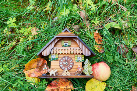 木制挂钟在房子的形状, 苹果和黄色的叶子躺在明亮的绿色草地上。从上面查看。设计元素
