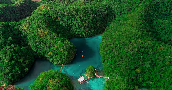 苏巴泻湖鸟图。美丽的风景与蓝色的海泻湖, 国家公园, 锡尔高岛, 菲律宾