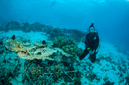 潜水员和 biorocks 在吉利，龙目岛，努沙登加拉巴拉，印度尼西亚水下照片