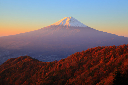 富士山在清晨的阳光中闪耀