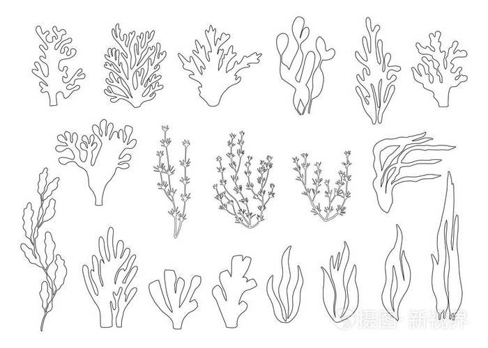 藻类简笔画拟人图片
