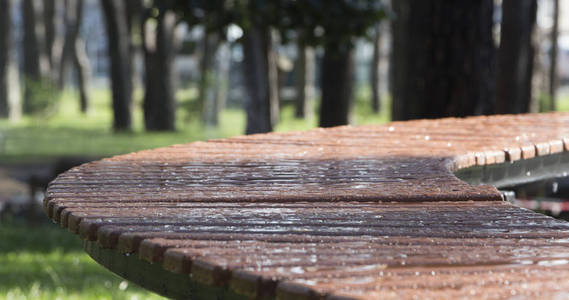 城市公园雨后水面上的木 benchwith 滴水