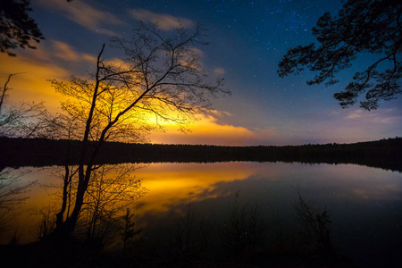 水边反射树木图片