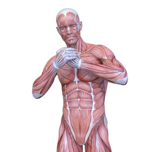 男性放置 figure3d Cg 渲染的男性奠定图