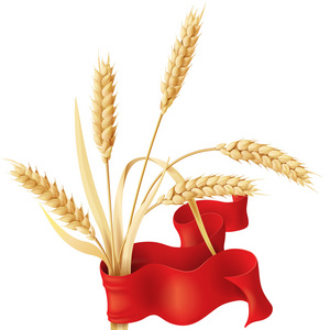 小麦的耳朵一束和功能区