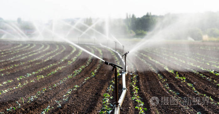 用喷灌系统灌溉德国西部农作物的田间栽培技术