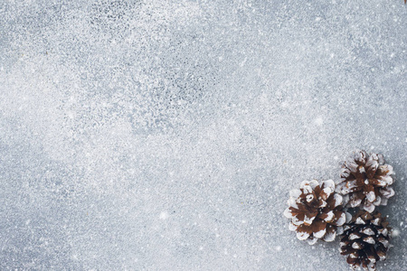 松树锥在灰色的背景与降雪的影响。纹理子文本