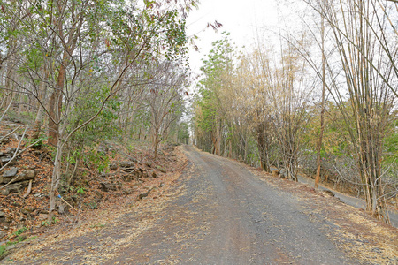 在泰国的乡村道路