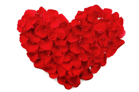 被深深射入花心在白色背景下被隔绝的心脏形状的红色玫瑰色花瓣照片