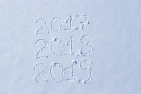 2019在雪为新年和圣诞节