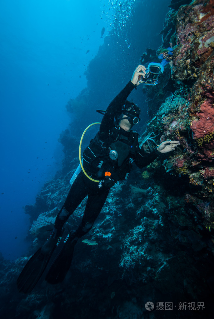 在derawan,加里曼丹,印度尼西亚水下照片被囊类潜水员正在拍照
