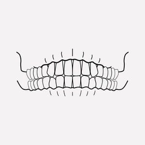 牙齿图标线元素。在干净的背景上隔离的牙齿图标线的矢量插图为您的 web 移动应用程序徽标设计
