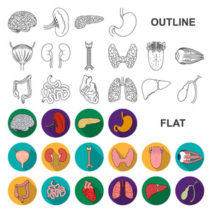 人体器官平面图标集合中的设计。解剖学和内脏媒介符号股票网页插图