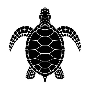 海龟图标图片