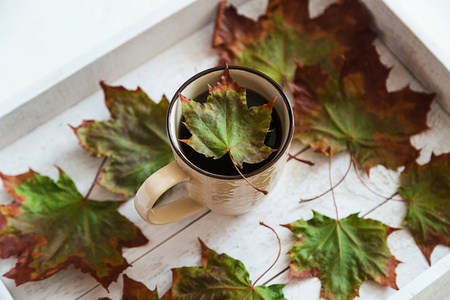 舒适的概念, 静物的秋干枫树叶白色。一杯黑咖啡或茶。顶部视图