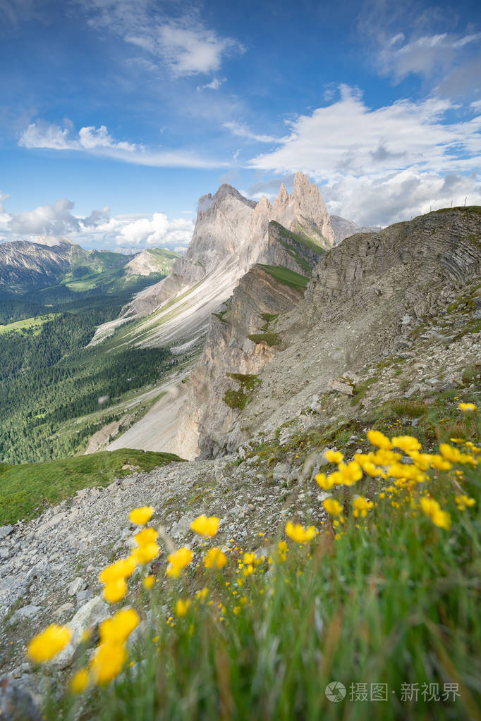来自意大利白云岩的绿色高山的壮观的风景风景在夏天与蓝天