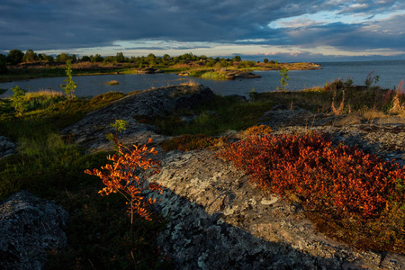 美丽的风景在 Rabocheostrovsk, 卡累利在夏天