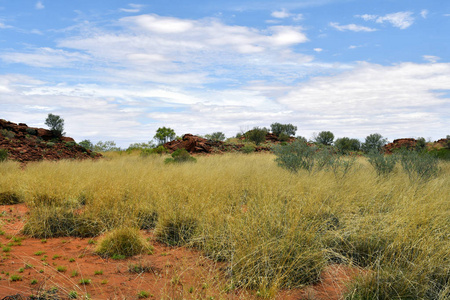 澳大利亚, Nt, 公共 Ewaninga 保护区, 史前版画和原住民历史遗址区