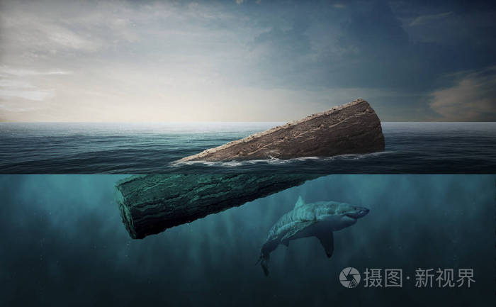 漂浮在海洋中的树干