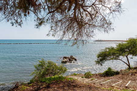 海滨热带海滩景观