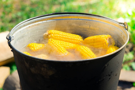 在沸腾的水中煮玉米图片