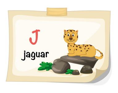 字母j图片