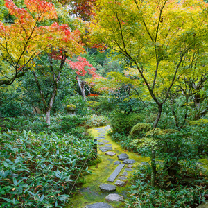 筝在寺庙，在京都大德子寺之一