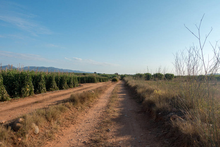 在西班牙 Castellon 的圣地亚哥和通过奥古斯塔的路