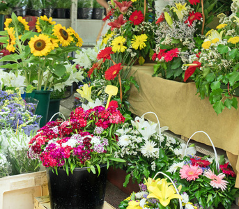 花卉市场与各种各样的花
