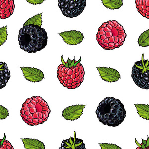 树莓和黑莓无缝模式与新鲜成熟的水果和绿叶的素描风格