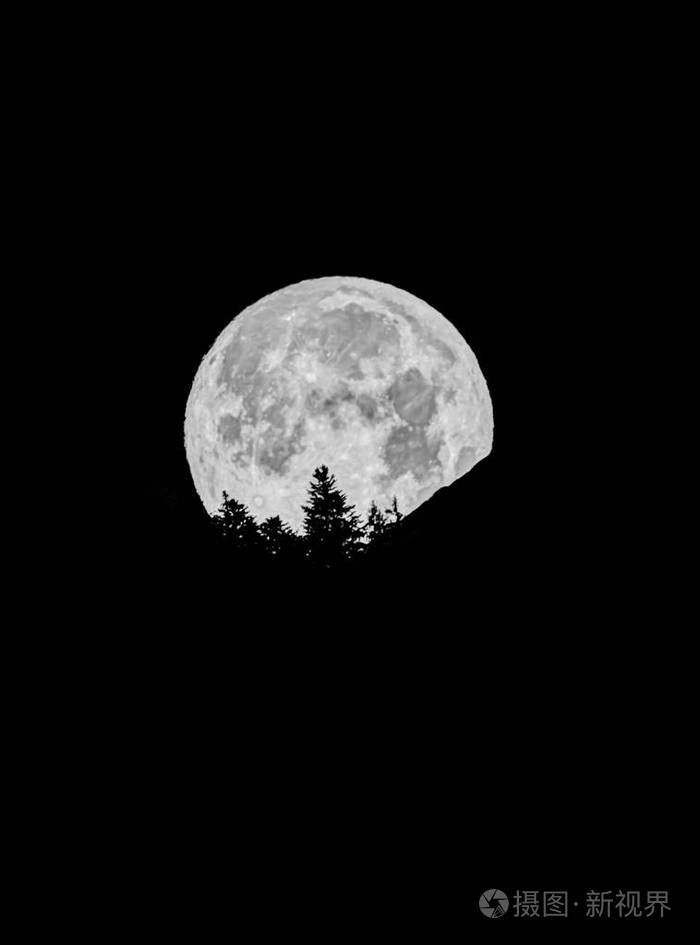 满月在漆黑的夜空中消失在山和树的剪影后面