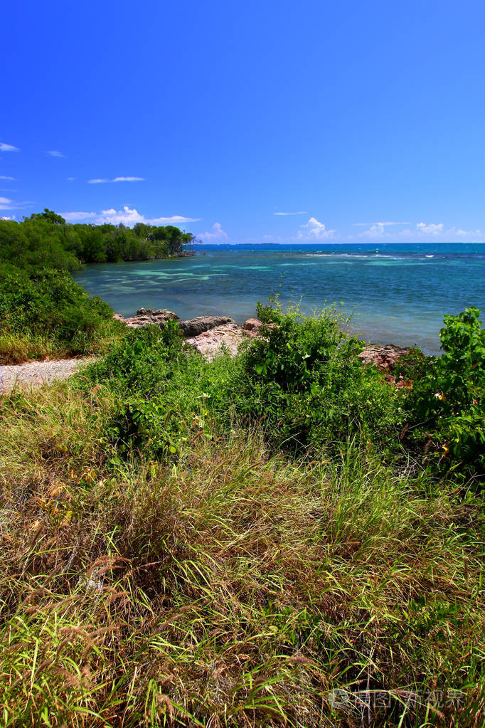 波多黎各guanica旱地森林保护区的加勒比海岸线