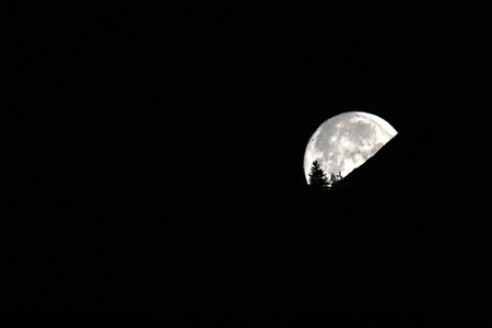 满月在漆黑的夜空中消失在山和树的剪影后面