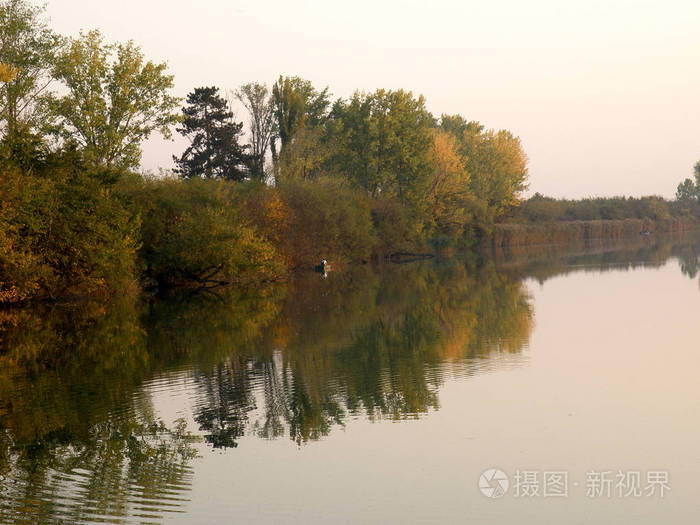 宁静河流中的秋彩树