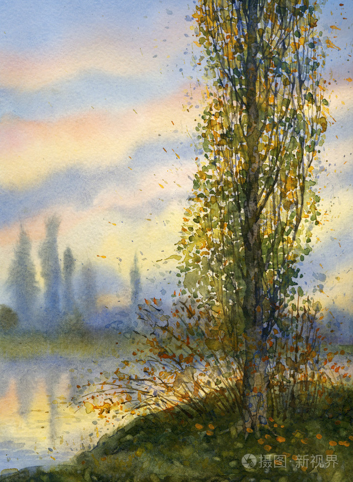 水彩风景.杨树在湖落日