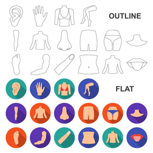 身体的一部分, 四肢扁平的图标集为设计收藏。人体解剖学矢量符号股票网页插图
