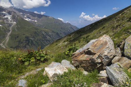 高山山风景在夏天。绿色的山谷, 山峰覆盖着白雪, 对着蔚蓝的天空。从大格洛克纳山高高山路观看。奥地利。欧洲