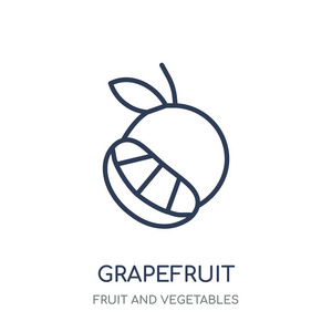 柚子图标.葡萄柚线性符号设计从水果和蔬菜收集.