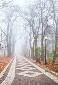 有雾的早晨，在城市公园
