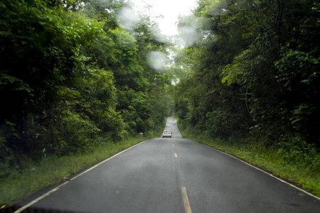 模糊公园与散景光一条长的路在雨天在自然背景下